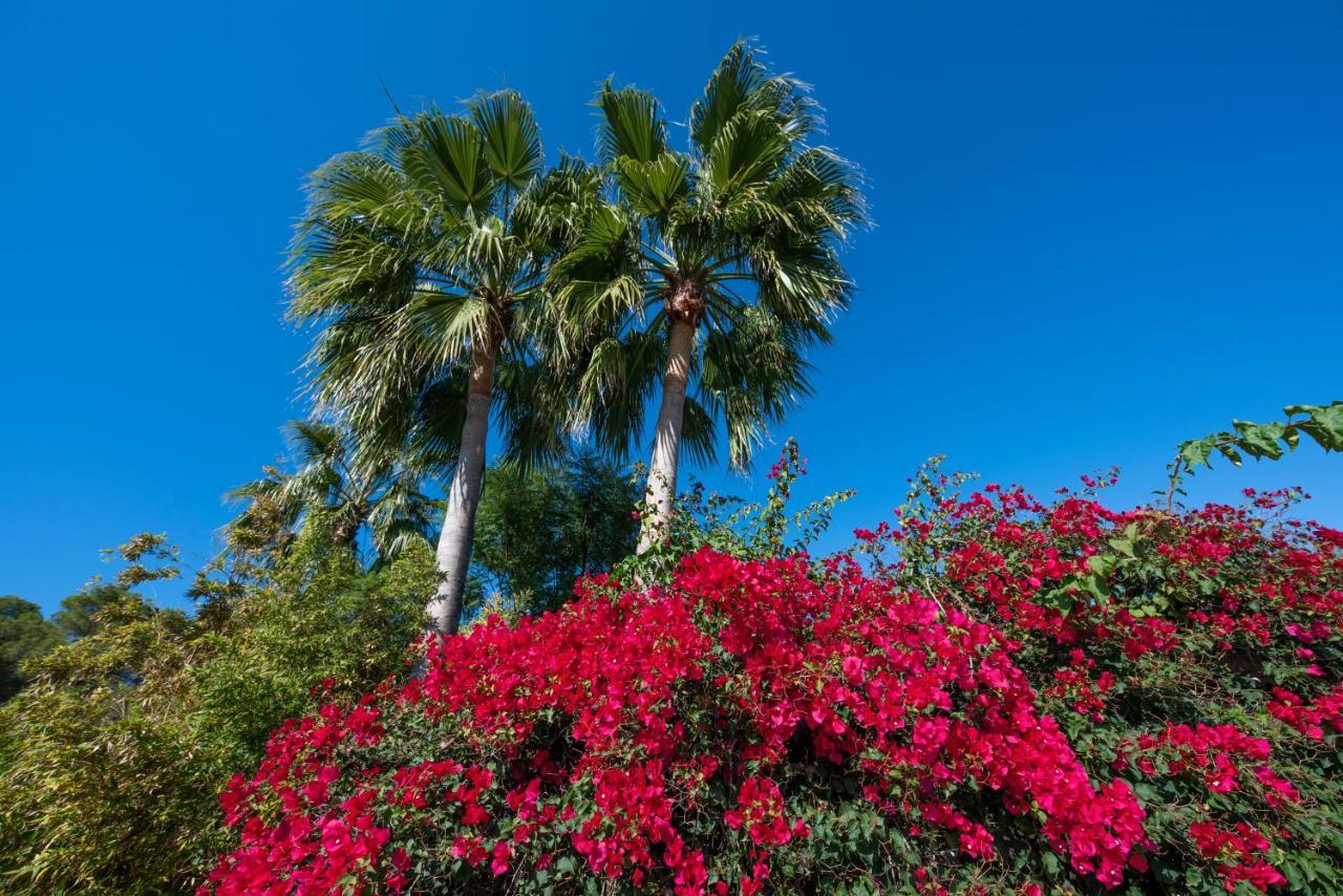 Agroturismo Can Cosmi Prats Villa Santa Gertrudis  Exteriör bild